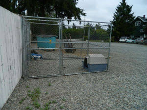 ChainlinkKennels4.jpg