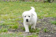 Gretta03.jpg