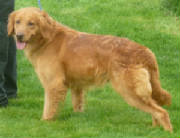 Reba0574.JPG