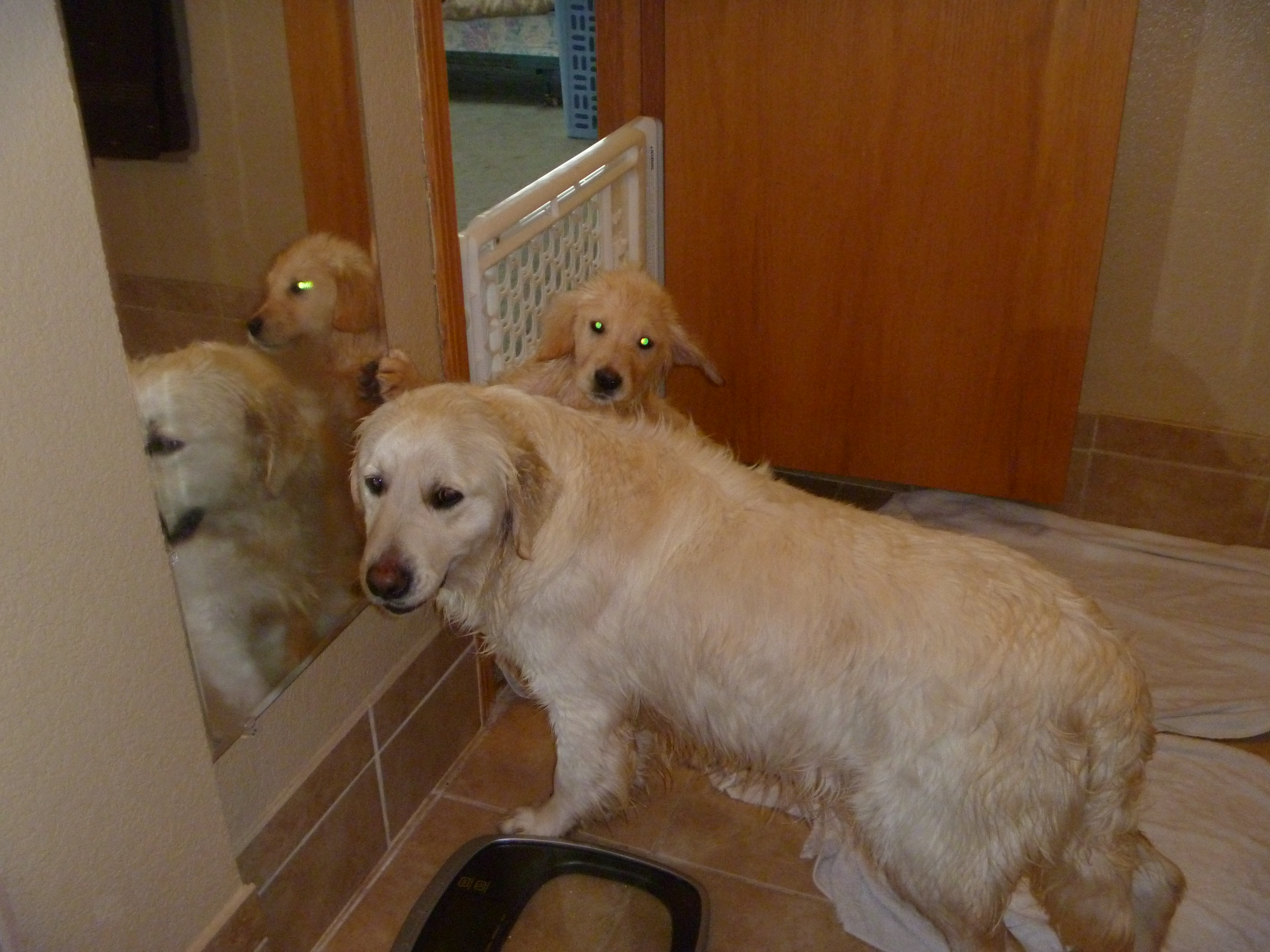 GrettaJamesLitter2012.JPG